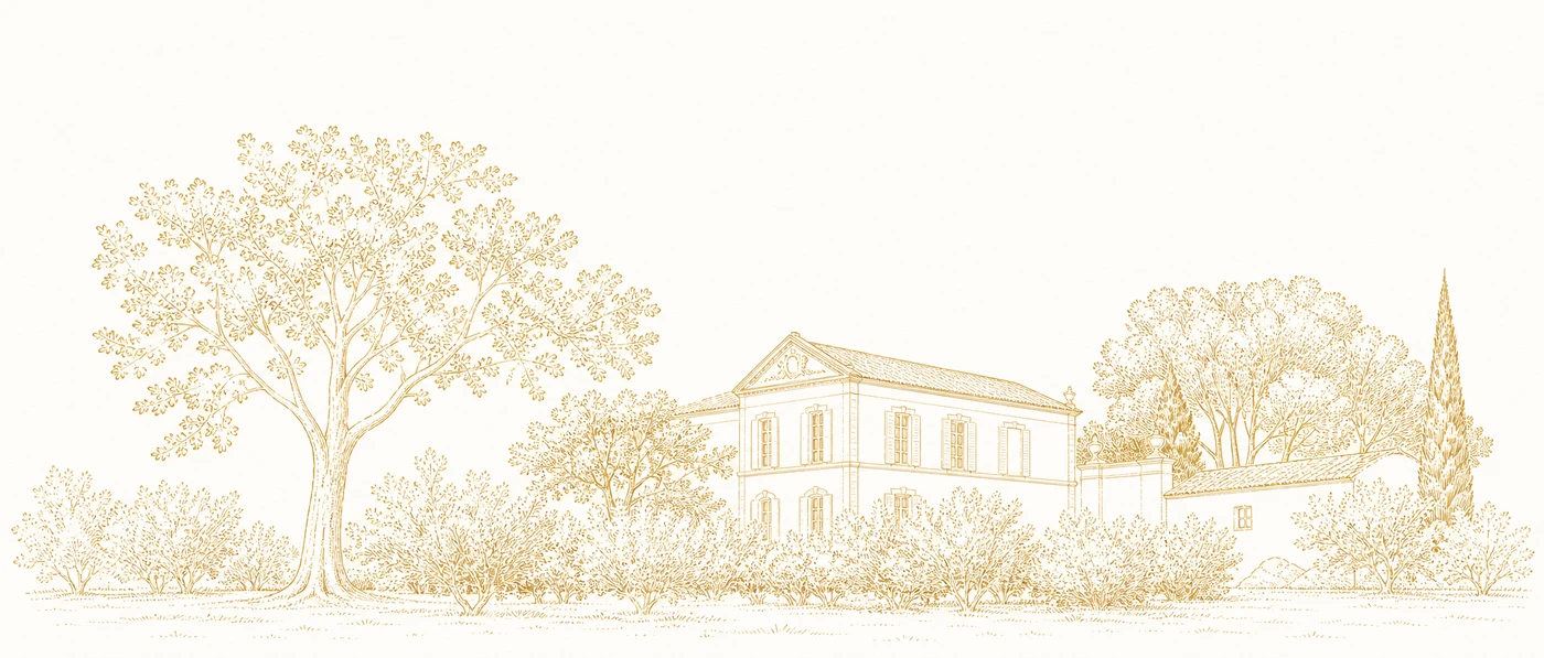 Château des Platanes — line drawing